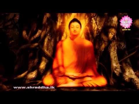 ධම්ම චක්ක පවත්තන සූත්‍රය ( Dhamma Chakka Sutta )