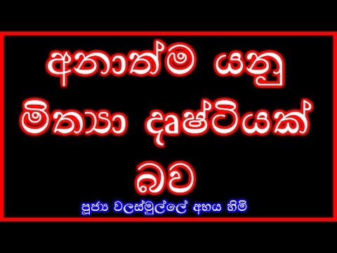 [09/32] - අනාත්ම යනු මිත්‍යා දෘෂ්ටියක් බව - (Season 08)